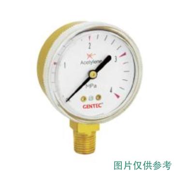 捷锐/GENTEC 氮气压力表，140022907，G20-2.5M 表盘直径60mm，1/4NPT 售卖规格：1个