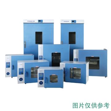一恒 鼓风干燥箱，DHG-9075A套装 （含多段可编程液晶温度控制器，打印机，独立限温控制器） 售卖规格：1台