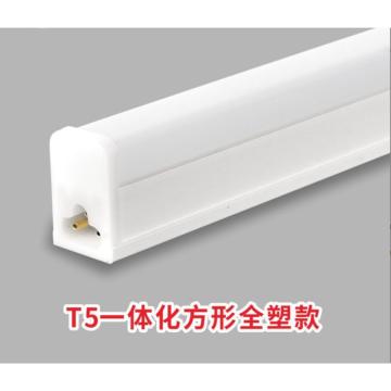 龙代 一体化T5灯管，10W 全长870mm，6500K，白光 售卖规格：1套