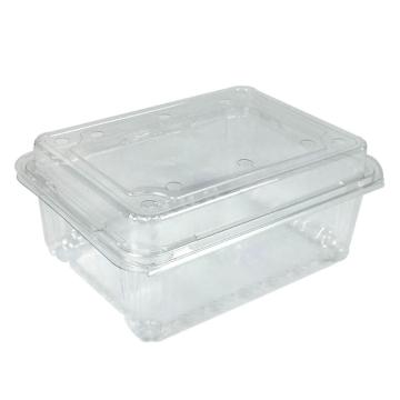 安赛瑞 一次性水果盒，24971 17.5×13.5×7.5cm，500g，透明（100个装） 售卖规格：1包