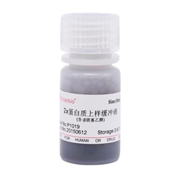 索莱宝 2×蛋白上样缓冲液（含巯基还原剂），P1019-10ml 10ml 售卖规格：1瓶