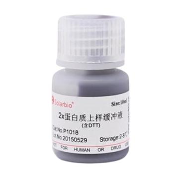 索莱宝 2×蛋白上样缓冲液（含DTT），P1018-10ml 10ml 售卖规格：1瓶