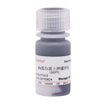 索莱宝 4×蛋白上样缓冲液（含DTT），P1015-10ml 10ml 售卖规格：1瓶