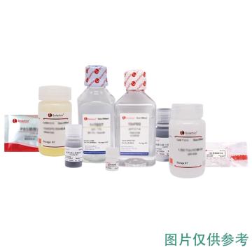 索莱宝 明胶-磷酸盐缓冲液，RL100150-10*30ml 10*30ml 售卖规格：1件