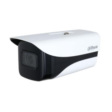 大华 高空抛物相机，DH-IPC-HFW4439K-TGD（非智能） 3.6mm 售卖规格：1个