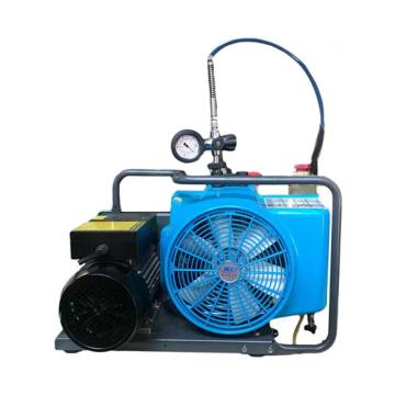 海安特 压缩空气填充泵，HL-100，380V 三相电机 380V 售卖规格：1台