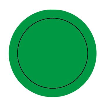 帛拉 仪表盘上下限标识 直径50mm（整圆）绿色，BL00248 售卖规格：10张/包