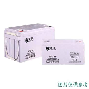 圣阳 阀控式密封铅酸蓄电池，SP12-42AH 12V/42AH(如需配线提前沟通) 售卖规格：1个