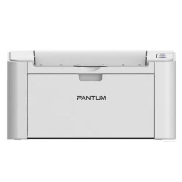 奔图/PANTUM A4黑白激光打印机，P2507N 单功能\NET 售卖规格：1台
