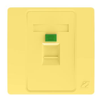 兆龙 单口信息面板，ZL010201003 86型单口信息面板金色，20个起订 售卖规格：1个