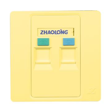 兆龙 双口信息面板，ZL010202004 86型双口信息面板金色，20个起订 售卖规格：1个