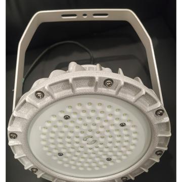 雄华照明 圆形防爆灯，XH-ZDP003-50，50W（下单选择安装方式：支架、管吊式、吸顶式、吸壁式）