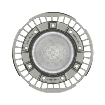 欧辉照明 LED防爆灯，OHBF8236-100W，100W，白光，单位：个