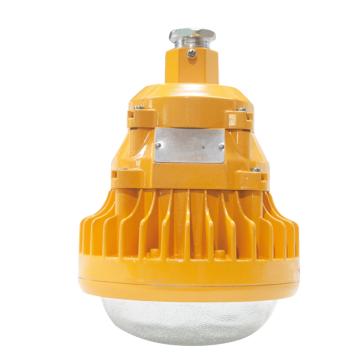凯瑞 LED防爆平台灯，KLE1013，40W 白光 售卖规格：1个