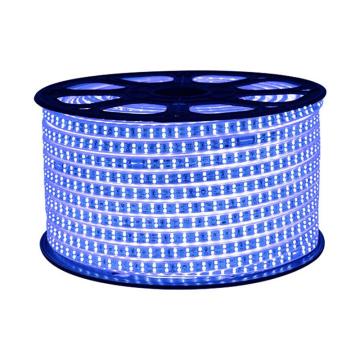 贝工 高亮灯带，BG-DD2835-120-蓝光 6W/米，100米/卷 售卖规格：1卷