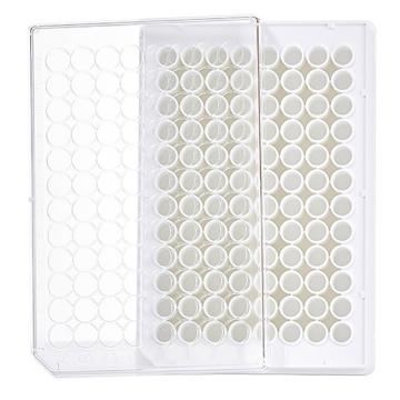 比克曼生物 TC处理，96孔细胞培养板，白底透明盖，1个/袋，160袋/箱，110307006 售卖规格：1个