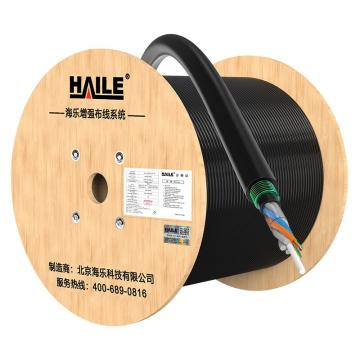 海乐 24芯防强电层绞式单模非金属阻燃室外光缆（HT225Z-24SC），GYFZTY53-24B1.3 售卖规格：1米