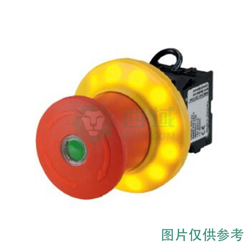 m22-pv-k01