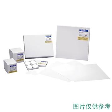 ADVANTEC 玻璃纤维滤纸 GS-25 φ125mm 36481125 1盒(100张)，4-908-94 售卖规格：1盒