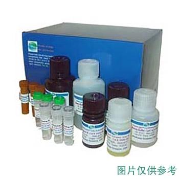 任氏/JENCO pH标准液，PH6.86 售卖规格：1瓶