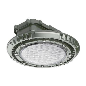 大猩猩 LED防爆灯，A1FBP8101-A1-200 200W，白光，ø365*188mm，吸顶式 售卖规格：1个