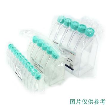芯硅谷 细胞培养瓶 50ml 标准型 适合贴壁培养,滤膜盖，C7069-D50ml-10EA 售卖规格：10个/盒
