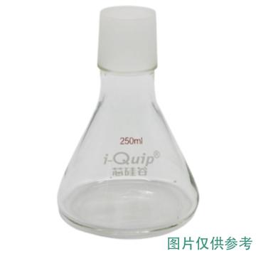 芯硅谷 溶剂过滤器套装或附件 三角瓶2000ml，S6596-10-1EA 售卖规格：1个