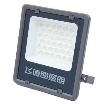 飞德朗 灰金刚泛光灯，FDL-HJGFGD-100W 白光，U型支架壁装 售卖规格：1个