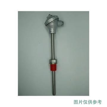 广州粤城 热电偶，PT100,规格:14X56,镀银线2000mm 售卖规格：1个