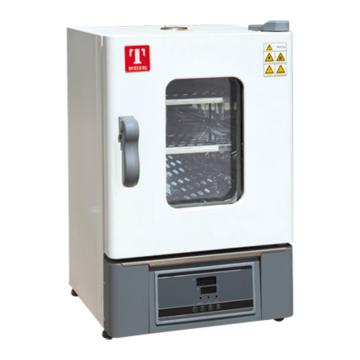 泰斯特 恒温干燥箱，立式，WHL-125D