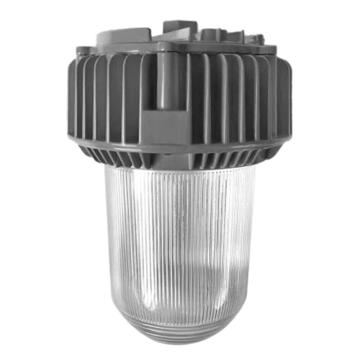 勒克思 LED三防灯，LKS-F9112-100W 5700K，Φ250×300mm，白光 售卖规格：1个
