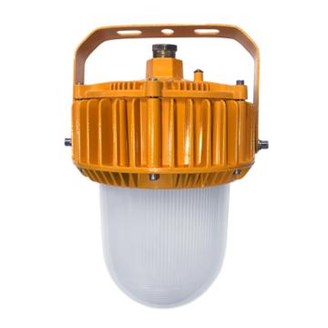 勒克思 LED防爆平台灯，LKS-B8112-100W 5700K，Φ250*300mm 售卖规格：1个