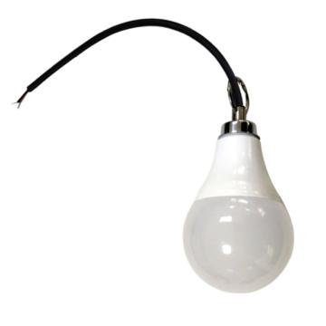 勒克思 LED安全电压球泡灯，DH-LKS36V/A9W 9W，5700K，Φ163×80mm，E27，螺口安装 售卖规格：1个