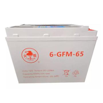 火炬 12V系列阀控式密封铅酸蓄电池 12V/65Ah，6-GFM-65 (如需配线提前沟通) 售卖规格：1个