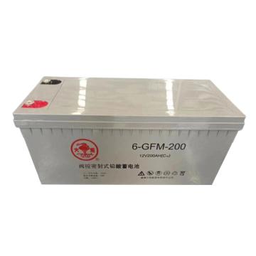 火炬 12V系列阀控式密封铅酸蓄电池 12V/200Ah，6-GFM-200 (如需配线提前沟通) 售卖规格：1个