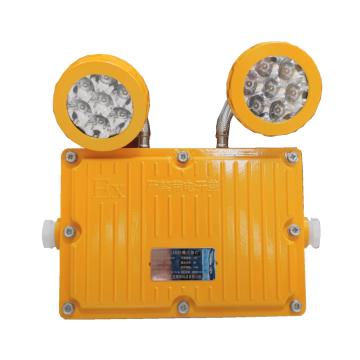 鼎辉照明 LED防爆应急灯，BFDH6191 2×5W，AC220，5700K，黄色，Ex d IIB T6 Gb 售卖规格：1个