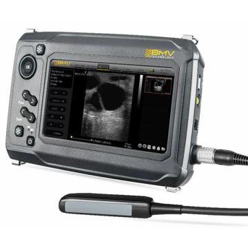 BMV 触摸式高端全数字超声诊断系统，S6 售卖规格：1套
