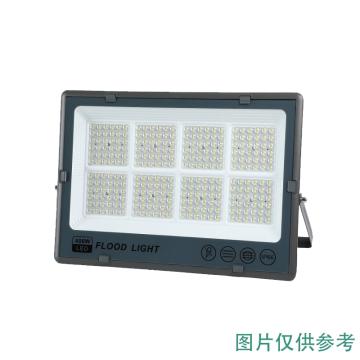 非的 防水泛光灯，FD-TG101TGD-200W 200W，6000K，IP65，壁装，白光 售卖规格：1箱