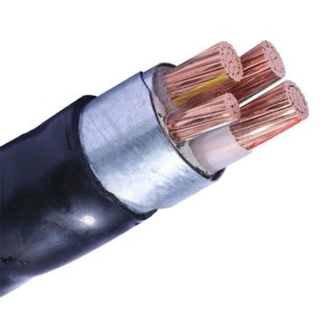 通薪/TX 铜芯交联聚乙烯绝缘钢带铠装聚氯乙烯护套低压电缆，YJV22-0.6/1kV-3*16+1*10 售卖规格：1米