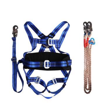 天意州 全身式安全带，TYZ-QSAQD01 双小钩后背绳2.5米，蓝色款 售卖规格：1套
