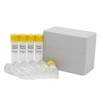 生工/sangon biotech SanTaq Plus PCR Mix 预混液，含蓝染料，B532081-0100 ，100 PREPS/盒，-20℃冷冻 售卖规格：1盒