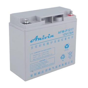 安耐威 阀控密封式免维护铅酸蓄电池，AFM-P1217EX 12V17AH 售卖规格：1个