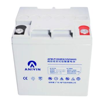 安耐威 阀控密封式免维护铅酸蓄电池，AFM-P1224EX 12V24AH 售卖规格：1个