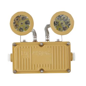 纽厄尔 LED防爆安全标志灯，NEW-FBB005-双头应急灯 售卖规格：1个