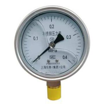 上仪 耐震压力表，Y-150BFZ304不锈钢+304不锈钢,径向不带边,Φ150 0~4.0MPa,M20*1.5,硅油 售卖规格：1个
