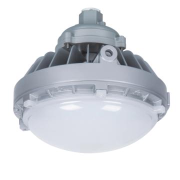 华荣/WAROM LED防爆平台灯，RLEEXL608-XL100W 售卖规格：1个