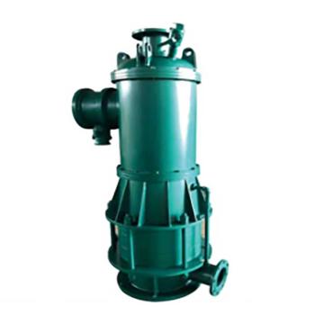 心传 排沙泵，BQS70-16-5.5，380/660V，5.5KW，金属