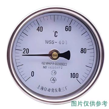 上仪 不锈钢双金属温度计，WSS-402轴向(直型),Φ100 可动内螺纹,M27*2,L=75mm,0-300°C,1.6级 售卖规格：1个