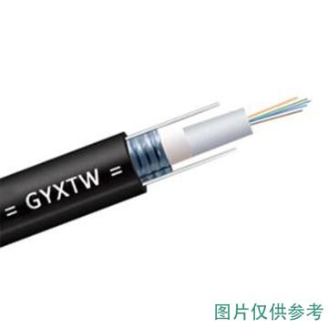 海乐 多模千兆12芯室外铠装光缆，HT210-12MD GYXTW-12A1a中心束管式光纤50/125，(多卷整根发货) 售卖规格：100米/卷