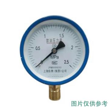 上仪 禁油压力表，YO-600-25MPa,M14*1.5 径向不带边,碳钢+铜 售卖规格：1个